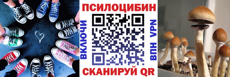 Галлюциногенные грибы Cubensis  Купить закладки  Сусуман 